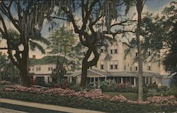Grey Gull Inn Postcard