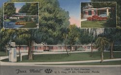 Trees Motel. 1569 S. Fort Harrison. U.S. Hwy. 19 Alt., Clearwater, Florida Postcard