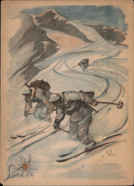 Alpine Troops Skiing, Edelweiss Flower Nazi Germany