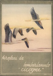 Aeroplani da bombardamento "Cicogne" Postcard