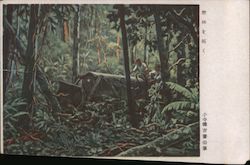 Two Men Driving a Bulldozed Through a Jungle Postcard