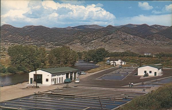 Colorado State Fish Hatchery Salida