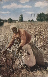 Dixie Cotton Picker Black Americana Postcard Postcard Postcard