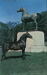 Horse and Statue Weybridge, VT Postcard Postcard Postcard