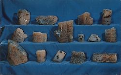 Wood Casts with Dendrites from Central Oregon Postcard