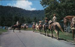 Horseback Riding at Fontana Village Resort Postcard