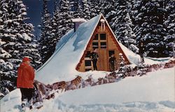 Snow-Country Chalet Postcard