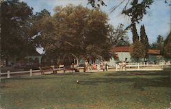 Gulf Hills Dude Ranch & Golf Club Ocean Springs, MS Postcard Postcard Postcard