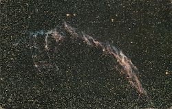 Mount Wilson and Palomar Observatories Postcard