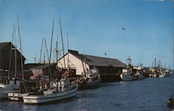 Lazio's Seafood Restaurant Postcard