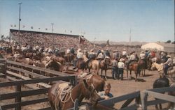 Elks' Annual Rodeo Santa Maria, CA Postcard Postcard Postcard