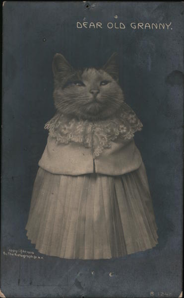 Dear Old Granny. Cats