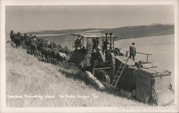 Combine Harvesting Wheat The Dalles Oregon