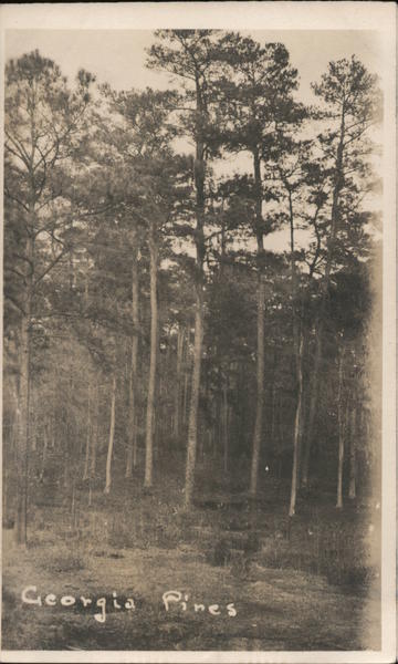 Georgia Pines