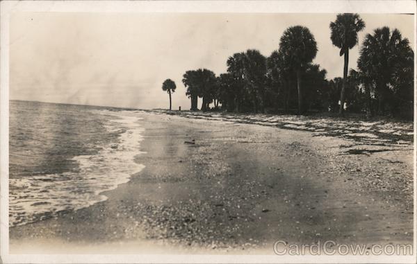 Beach with palm trees, Probably Near Parris Island South Carolina
