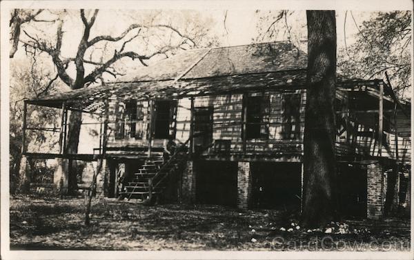 Cabin on Stilts Buildings