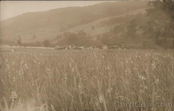 Grasslands Berlin New York