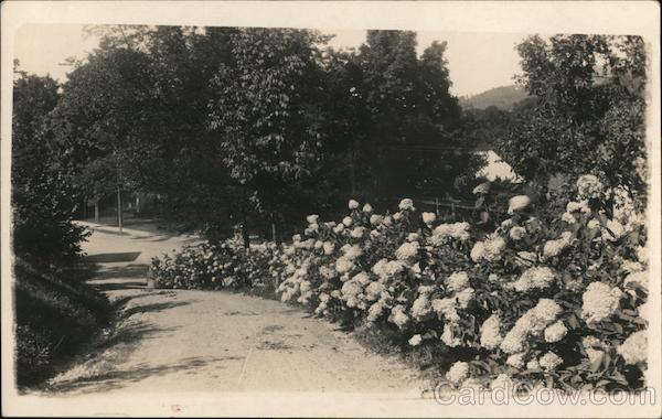 Looking Towards Main Street Berlin New York