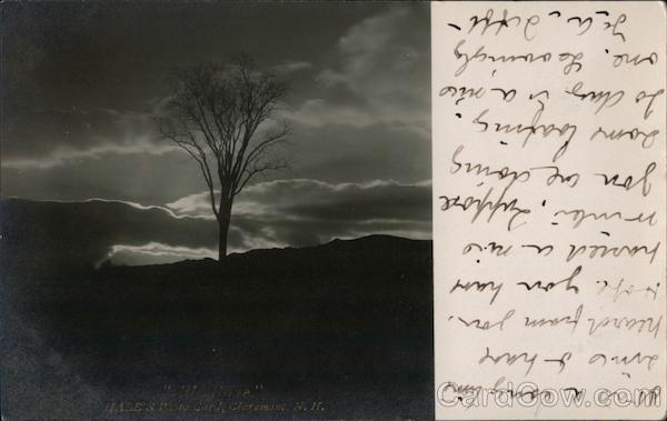 Bare Tree Against Night Sky Newton New Hampshire Photographic Art