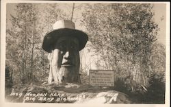 Wooden Head, Big Bend Highway Postcard