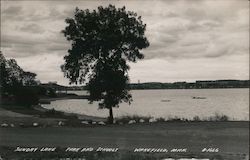 Sunday Lake Park and Schools Postcard