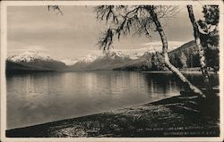 The Birch, Lake McDonald Glacier National Park, MT Postcard Postcard Postcard