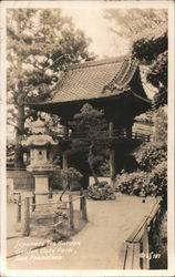 Japanese Tea Garden, Golden Gate Park Postcard