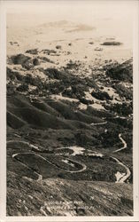 Double Bow Knot Mt Tamalpais & Muir Woods Postcard