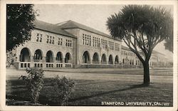 Stanford University Postcard