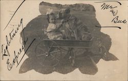 Girl & Dog in Wagon Postcard