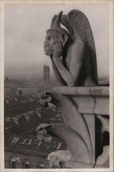 Gargoyle - Notre Dame Cathedral Postcard