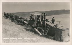 Combine Harvesting Wheat The Dalles, OR Postcard Postcard Postcard