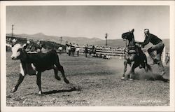 Annual Missoula Jaycee Stampede Montana Postcard Postcard Postcard