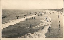 Ocean Park Beach Postcard