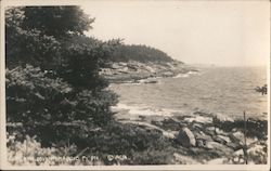 Pumpkin Cove Postcard