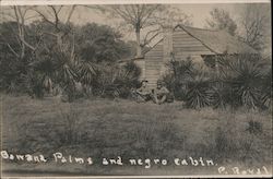 Banana Palms and Negro Cabin, Marines Postcard