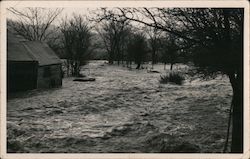 New Year Flood of 1949 Postcard