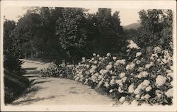Looking Towards Main Street Postcard