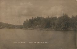 Mann's Point Long Lake, NY Postcard Postcard Postcard