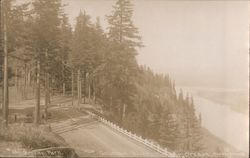 Bradley Park--View of Columbia River Clatskanie, OR Postcard Postcard Postcard