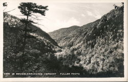 View in Smugglers Notch Postcard