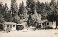 Cabins, Dann Creek Park, Redwood Highway Postcard