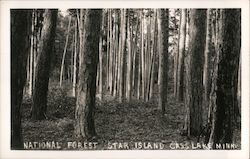 National Forest, Star Island Postcard