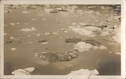 Ice Floating in Water Postcard
