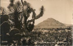 Pyramid of the Moon Teotihuacan, EM Mexico Postcard Postcard Postcard