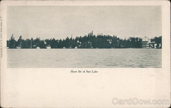 Shore life of Star Lake New York
