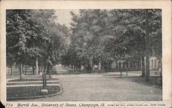 Burrill Ave., Universiry of Illinois Champaign