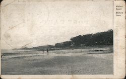 Walnut Beach Postcard