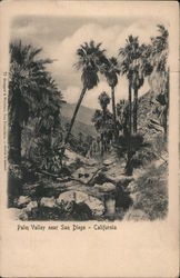 Palm Valley Postcard