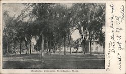 Montague Common Postcard